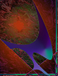 surrealist gicl�e paintings experiments