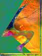 surrealist gicl�e paintings experiments
