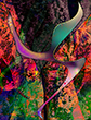 surrealist gicl�e paintings experiments