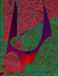 abstract expressionist surrealist gicl�e paintings experiments