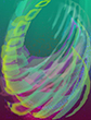abstract expressionist digital paintings experiments