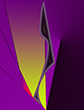 abstract expressionist surrealist gicl�e paintings experiments