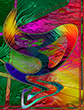 surrealist
