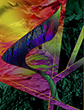 abstract expressionist surrealist gicl�e paintings experiments