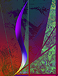 abstract expressionist surrealist gicl�e paintings experiments