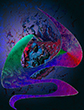 surrealist gicl�e paintings experiments