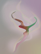 abstract expressionist surrealist gicl�e paintings experiments