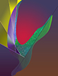 abstract expressionist surrealist gicl�e paintings experiments